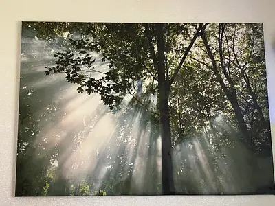 Decoration