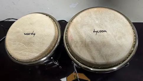 Tycoon bongo brandnew
