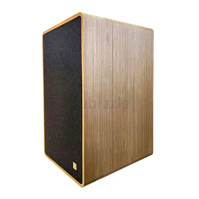 Sowa XL pro wireless speaker