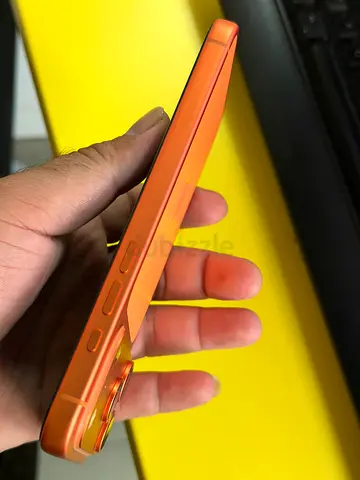 17 pro max 256
