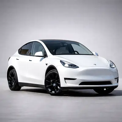 2023 Tesla MODEL Y 缩略图 6