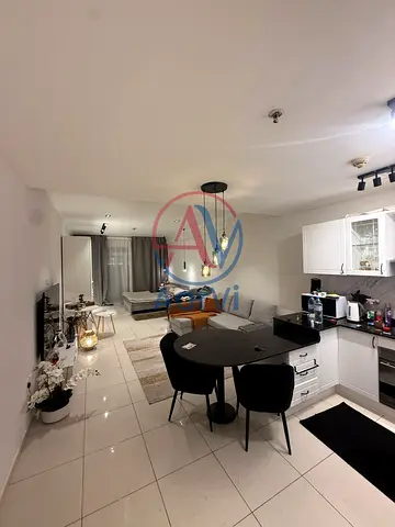 Largest Studio in DSO | Fully Upgraded | Vacant on Transfer