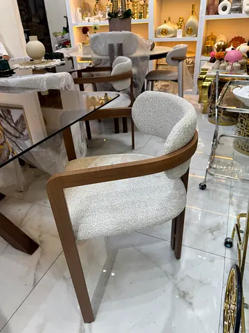 Elegant Modern Dining Chair