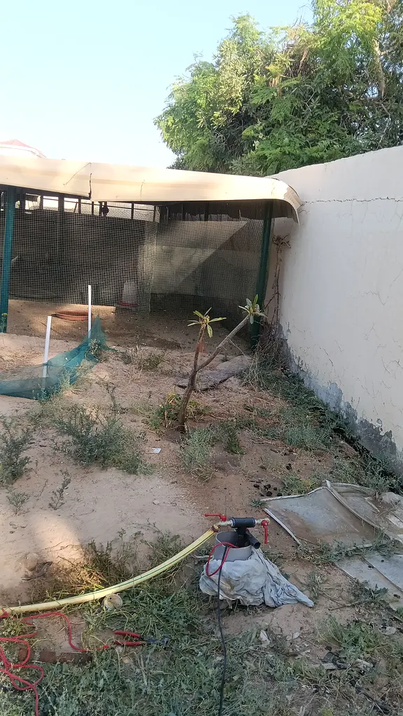 DPV_View_Image_2