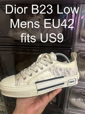 Dior B23 Low Mens shoes
