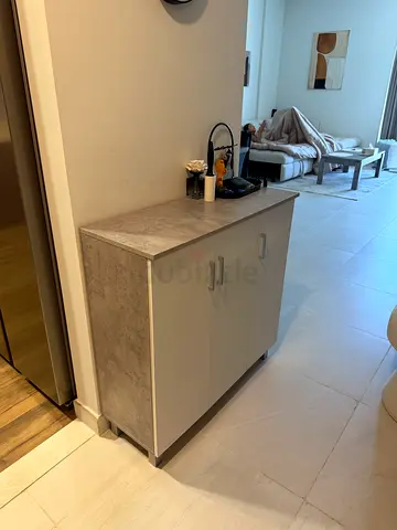 Compact Shoe Cabinet with Multiple Shelves