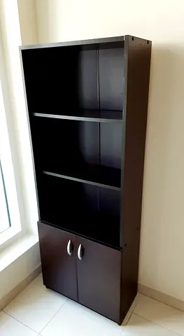 Office Cabinet with 2 Doors