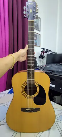 Cort Acoustic Guitar with Pickup