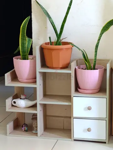 Compact wooden shelf with two drawers — perfect as plant stand or bedside organizer