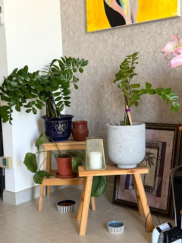Wooden 3-Tier Plant Stand with Assorted Potted Plants