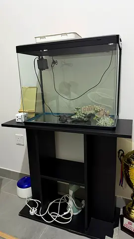 Glass aquarium with hood, filter and stand - ready to set up