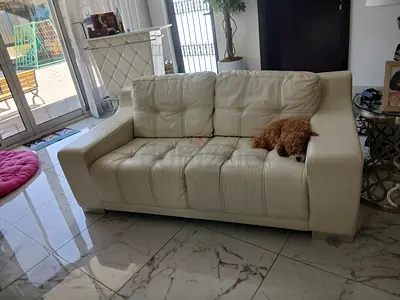 Living sofa