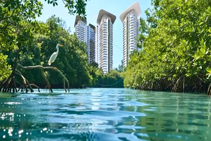 √Luxury Living | Mangrove View | Premium Address√