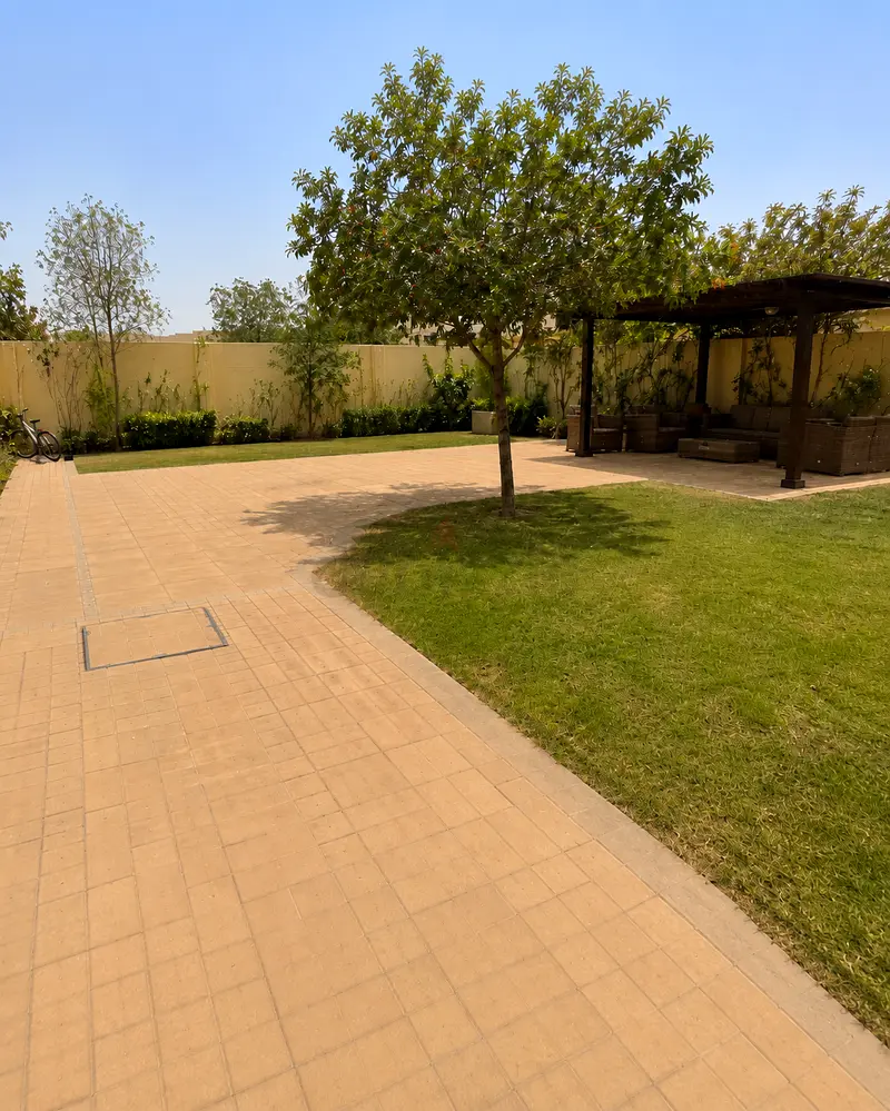 DPV_View_Image_2