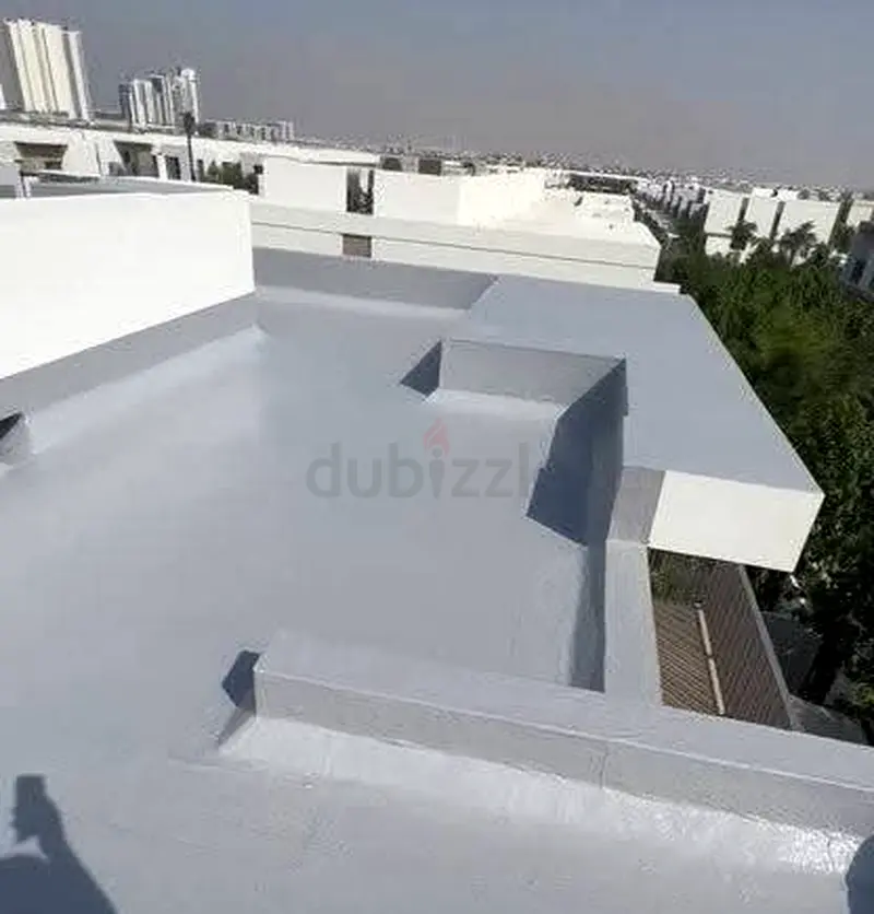 DPV_View_Image_5