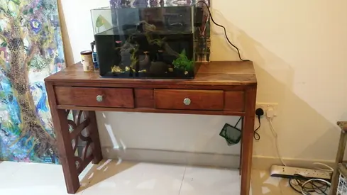 FISHTANK, filter, fish and stand
