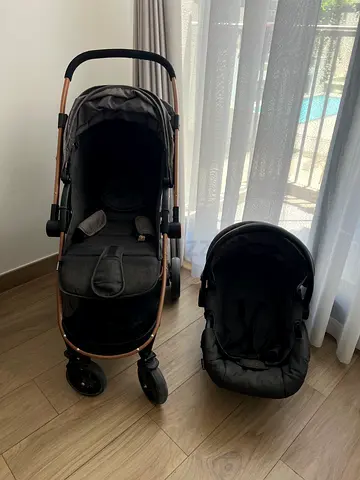 Stroller/car seat