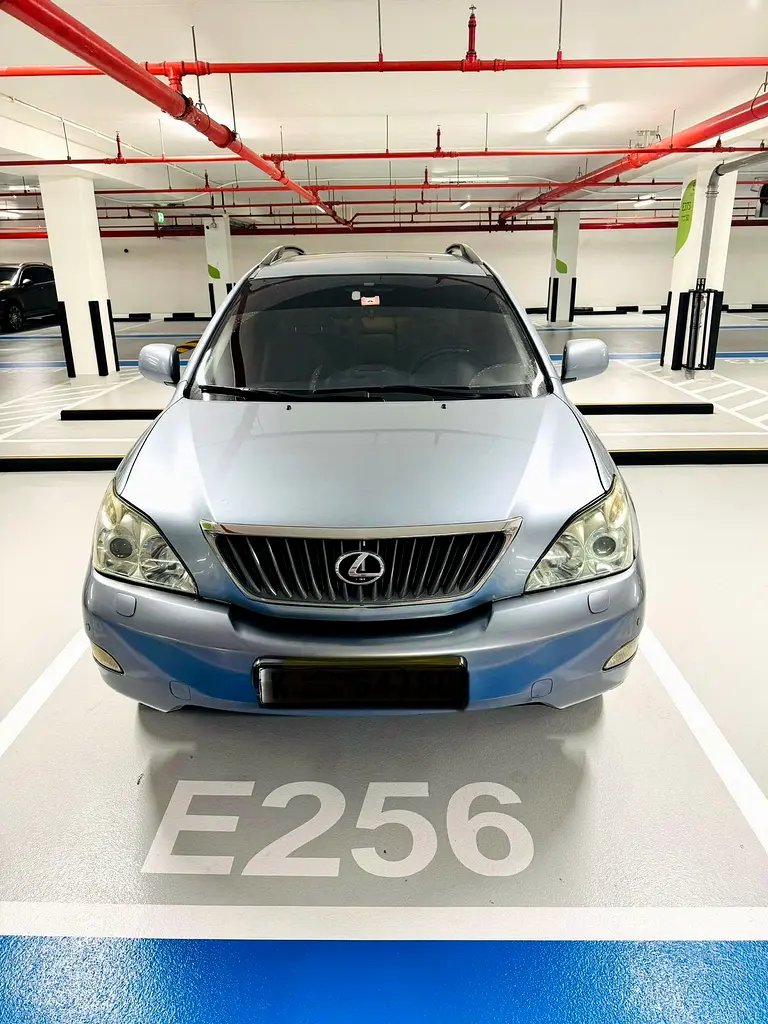 Lexus RX-Series 2008 — photo 1 of 5