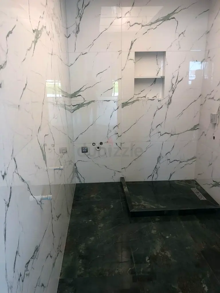 DPV_View_Image_0