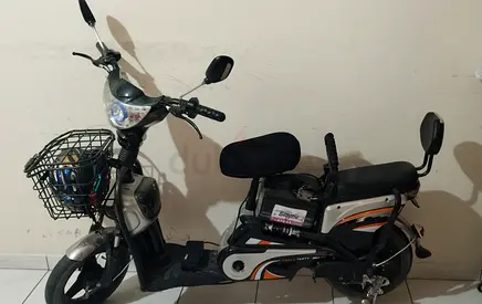 Electric bike