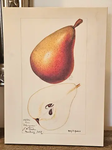 Wall decor paintings