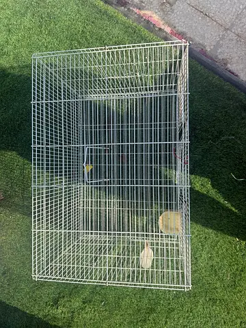 Used medium bird cage with feeders