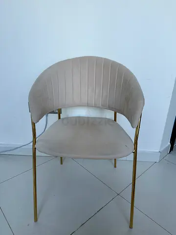 Beige Velvet Dining/Accent Chair with Gold Legs