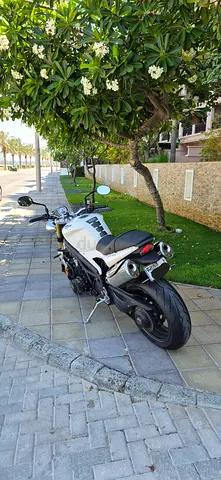 2008 Triumph Speed Triple 1050