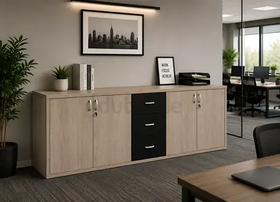 Low-Height Office Storage Cabinet Custom Made