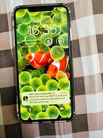 iPhone Xs Max, iOS 18.7.9, 64 GB Storage, Battery 77%