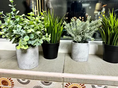 Vase x6