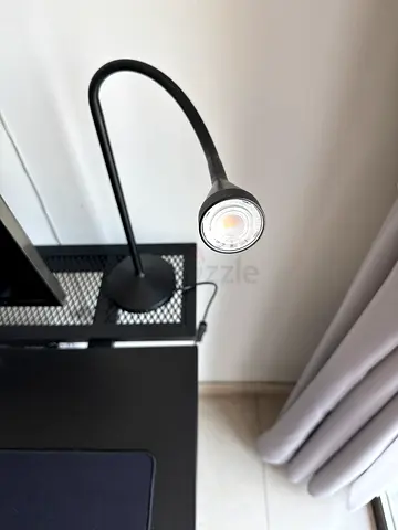 Adjustable Gooseneck LED Bedside/Reading Lamp - Black
