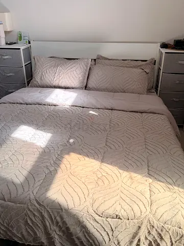 Queen Bed with Mattress