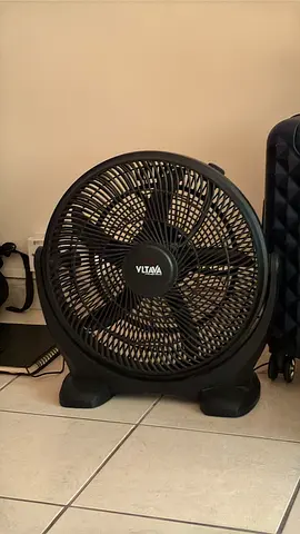 Fan