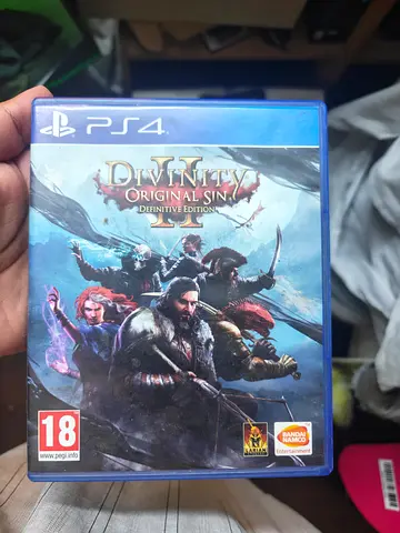 Divinity: Original Sin 2 PS4