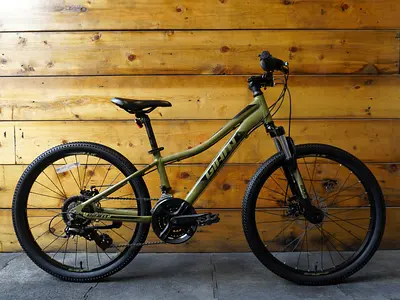 Giant XTC 24 Kids Bike