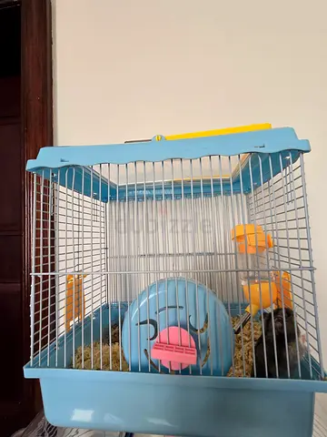 Small blue hamster cage with wheel and accessories