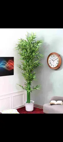 Tall Artificial Bamboo Plant in White Pot - Good Condition