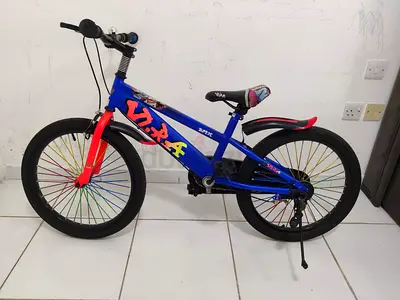 Kids Bicycle 20 Inch with Side Wheels – Good Condition