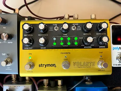 Strymon Volante
