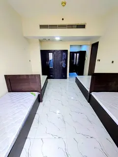 Offer! Bed Space For Executive MALE (Ind/Pak/Nep Only)