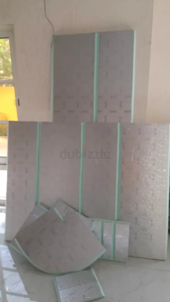 DPV_View_Image_2