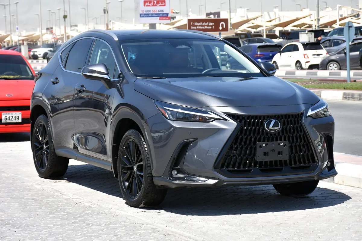 Lexus NX-Series 2024 — photo 1 of 14