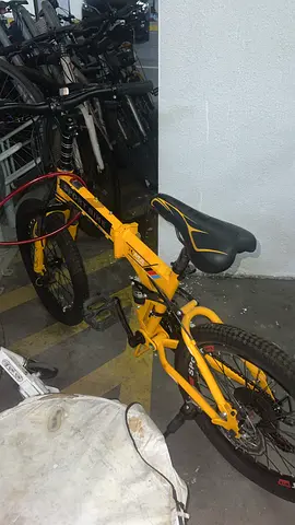 Mountain Bike