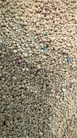 New cat sand /litter