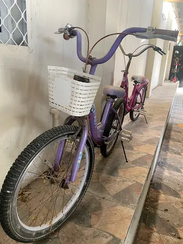 Used purple girl’s cycles with basket