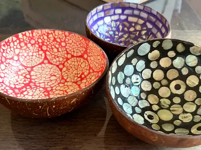 Coconut decorative bowls