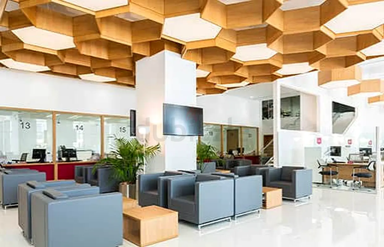 DPV_View_Image_3