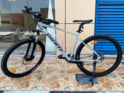 Giant Talon 2 — 29” Hardtail MTB | Large Frame