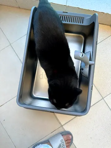 Stainless Cat Litter